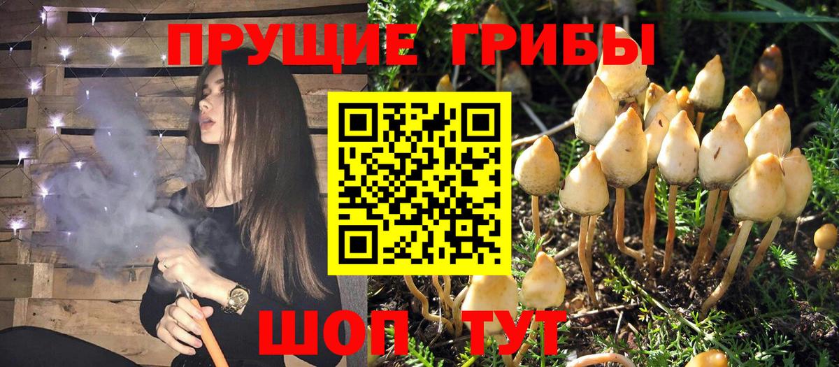 Джанкой  Псилоцибиновые грибы Psilocybe  где купить   Псилоцибиновые грибы Psilocybine cubensis  Вход с VPN 